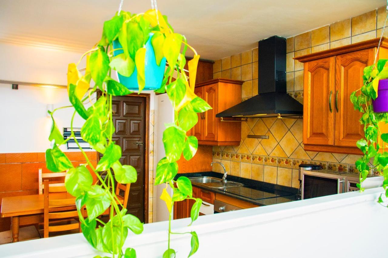 הוילה פוארטו דל כרמן Casa Tigot (Adults Only) מראה חיצוני תמונה